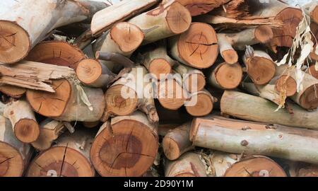 Log of firewood cut and stacked for use. Wallpaper Stock Photo