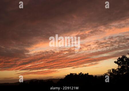 Dramatic UK sunset on a tree-lined horizon with tones of orange and pink in scattered clouds. Stock Photo