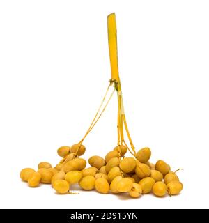 fresh date palm isolated on white Stock Photo