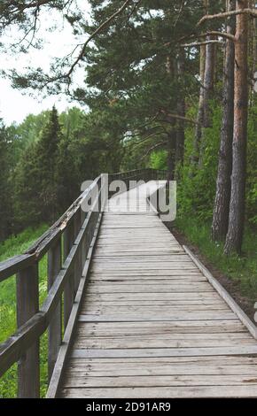 A beautiful wooden path in Junipers Valley in Lithuania in the middle of the forest near the slope. Stock Photo