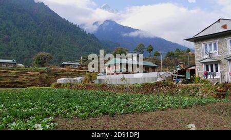 Sherpa stone houses in a village in Dudhkoshi valley, Nepal on the Everest Base Camp Trek with salad field and mountains in background. Stock Photo