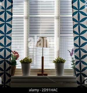 A window with blue curtains, a lamp and flowers. Beautiful light comes in through the blinds Stock Photo