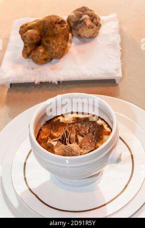Alba white truffle sliced on cocotte with egg and fontina cheese sauce Stock Photo