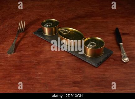 Different types of cans with prepared foods for consumption, vegetables, fish and meat Stock Photo