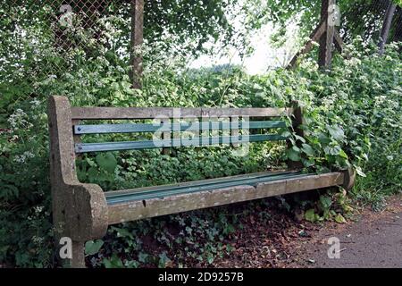Empty public concrete bench, with wooden and metal slats, on a path with overgrown vegetation behind it Stock Photo