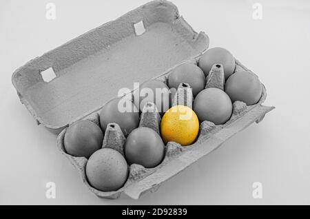 Black and white image of ten chicken eggs in an open egg carton with isolated yellow egg. Stand out and be different concept. Stock Photo
