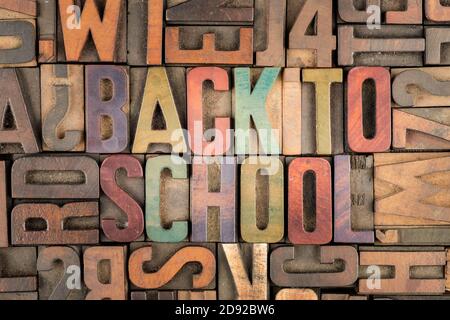 back to school words in letterpress printing blocks Stock Photo