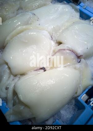 Cuttlefish in fishmonger, fresh fish in supermarket Stock Photo