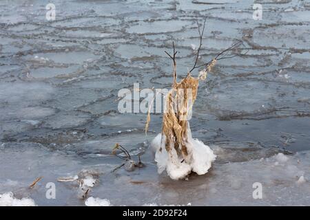 Lake beginning to freeze over in winter, prairie lake, Saskatchewan Canada Stock Photo