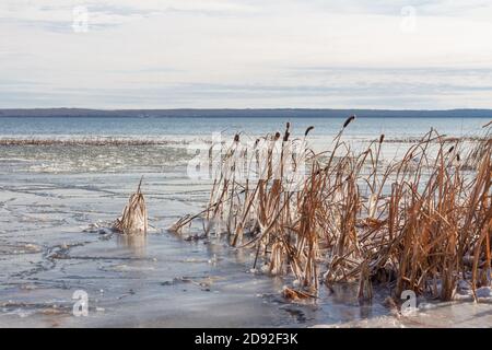 Lake beginning to freeze over in winter, prairie lake, Saskatchewan Canada Stock Photo