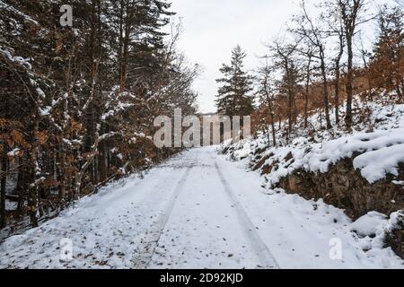 Snowy road surrounded by trees in autumn Stock Photo