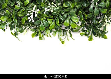 Green artificial grass in white background, selective focus, copy space Stock Photo