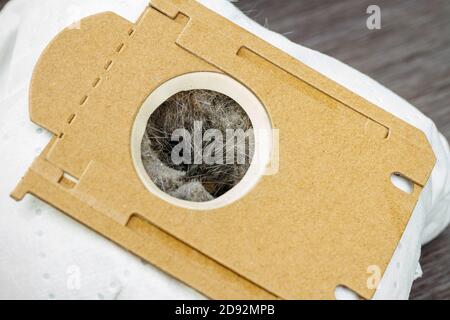 close-up of vacuum cleaner bag full of dust and wool Stock Photo
