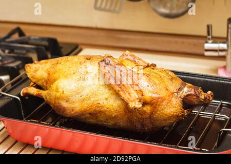 Roasted duck in a deep pan with grill rack, prepared meal for celebration dinner Stock Photo