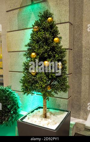 decorative small tree with golden christmas balls in a pot outdoors in winter evening Stock Photo
