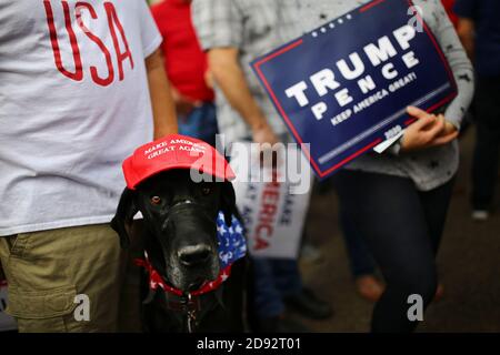 maga hat for dog