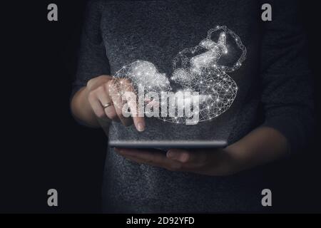 Genetic engineering, surrogacy, embryology. A hologram of a baby in the background of the hand holding a tablet, genetic analysis in pregnancy plannin Stock Photo