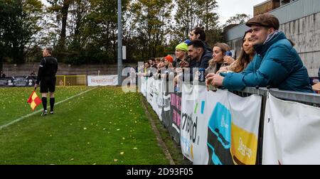 Football fans watch Dulwich Hamlet FC Women vs Dartford FC Women. 586 fans sold out the stadium in its pandemic-reduced capacity. 1st November, 2020 Stock Photo