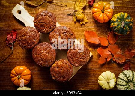 Pumpkin Chocolate Chip Muffins Stock Photo