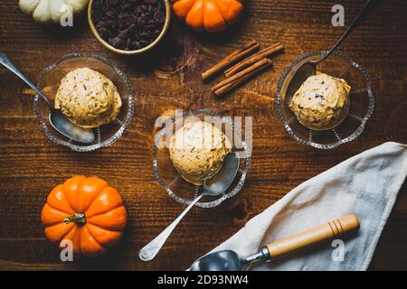 Pumpkin Chocolate Chip Ice Cream Stock Photo