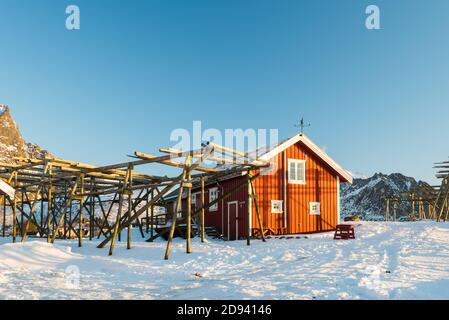 Renovated traditional red rorbu fishing hut with empty racks for drying cod on the Lofoten islands in Norway in winter Stock Photo