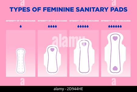 Menstrual cycle Vector illustration in flat design  Stock Vector