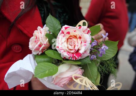 French wedding : the bride with red coat is holding a bouquet of flowers Stock Photo