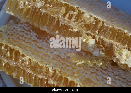 Sliced ​​golden yellow pieces of delicious fragrant honey in honeycombs close-up. Stock Photo