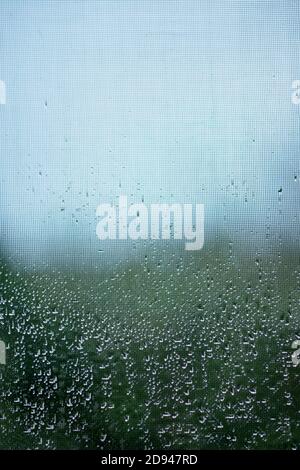 Raindrops on a net. Mosquito net on a window with a curtain. Vertical photo, macro, Mexico. Stock Photo