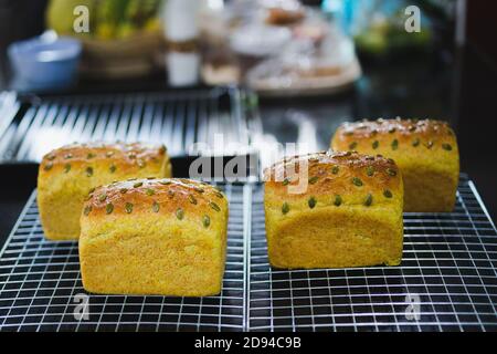 Homemade pumpkin bread with pumpkin seed on a metal grate. Stock Photo
