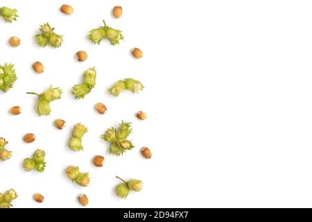Hazelnuts border. Hazelnuts with green leaves isolated on a white background. Fresh organic nuts. Top view, flat lay, copy space. Stock Photo