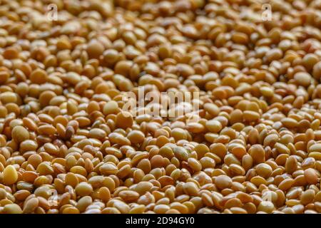 lentils ready to cook seen in daylight Stock Photo