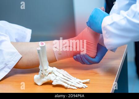 close-up hand wear medical gloves doctor in medical gloves holds artificial boneof the foot and examines a sore ankle in clinic, Concept of medical or Stock Photo