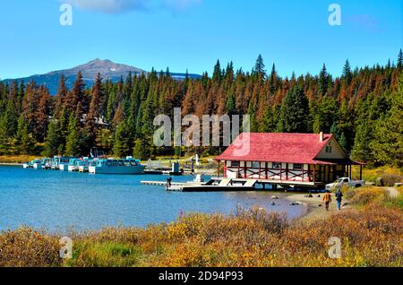 A landscape image of Maligne Lake boat house and the tour boats moored at the dock in Jasper National Park in Alberta Canada. Stock Photo