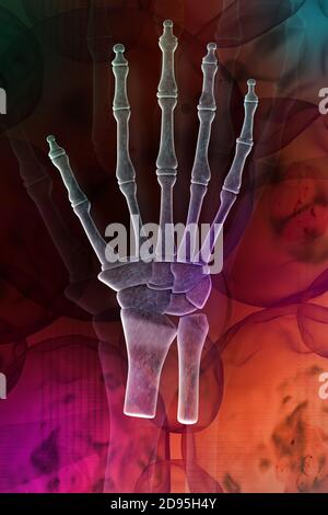 Skeletal hand Stock Photo