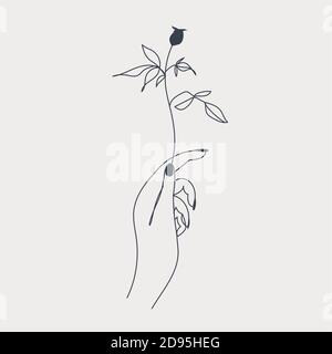 Hand holding a plant tribal line style logo template Stock Vector