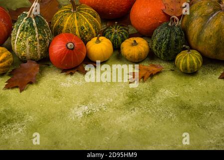 Various decorative pumpkins on green background Stock Photo