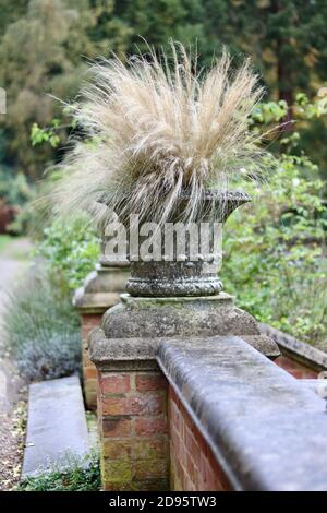 Portrait image of ornamental grasses in urn on wall in garden Stock Photo