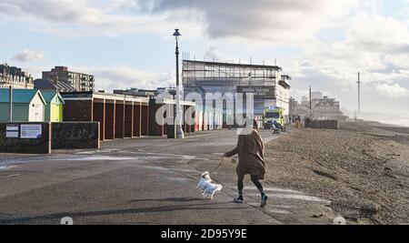 Brighton UK 3rd November 2020 - A dog nearly gets blown off their feet with their owner on a windy but sunny day alone Hove seafront this morning . Much colder weather is forecast for the next few days in Britain  : Credit Simon Dack / Alamy Live News Stock Photo