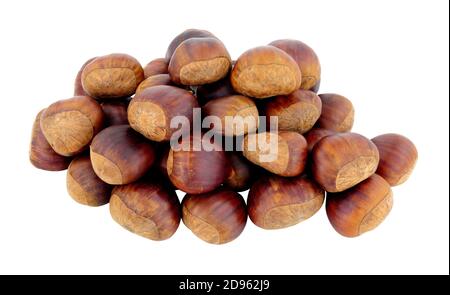 Group of uncooked Spanish chestnuts in shells isolated on a white background Stock Photo