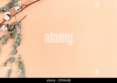 Border frame made of cotton and eucalyptus branches on yellow background Stock Photo