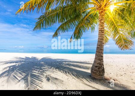 Tranquil summer vacation or holiday landscape. Tropical beach view with palm tree leaves over calm sea water. Exotic nature view, inspire background Stock Photo