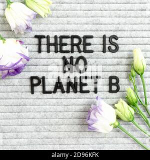 Bouquet of eustoma flowers and quote There is no planet B on felt letterboard Stock Photo