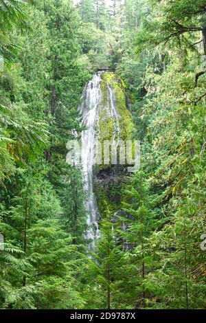 Proxy Falls, Willamette National Forest, Oregon, USA