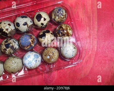 Quail eggs in plastic box, top view in cut, red wooden background, Brazil, South America Stock Photo
