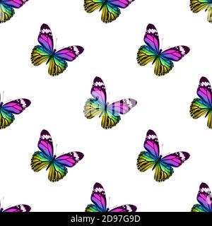 seamless pattern of colored butterflies isolated on white background Stock Photo