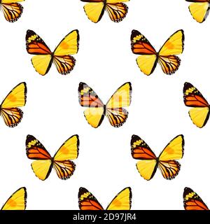 seamless pattern of colored butterflies isolated on white background Stock Photo