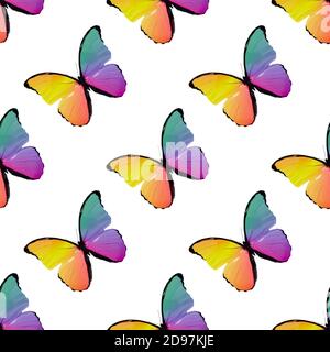 seamless pattern of colored butterflies isolated on white background Stock Photo