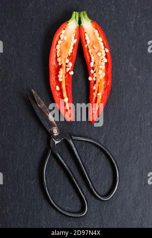 Homegrown jalapeno chilli peppers sliced open to reveal seeds. UK Stock Photo