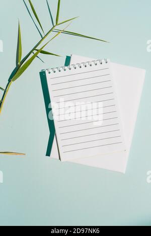 blank notebook with lines, and delicate green leaves that project the shadow of the direct sun. Soft blue background. Stock Photo